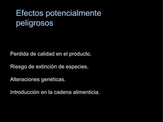 Efectos potencialmente peligrosos Perdida de calidad en el producto. Riesgo de extinción de especies. Alteraciones genéticas. Introducción en la cadena alimenticia. 