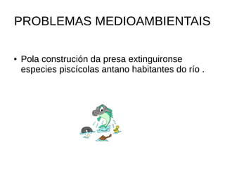PROBLEMAS MEDIOAMBIENTAIS
● Pola construción da presa extinguironse
especies piscícolas antano habitantes do río .
 