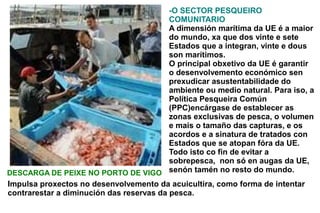 -O SECTOR PESQUEIRO
                                          COMUNITARIO
                                          A dimensión marítima da UE é a maior
                                          do mundo, xa que dos vinte e sete
                                          Estados que a integran, vinte e dous
                                          son marítimos.
                                          O principal obxetivo da UE é garantir
                                          o desenvolvemento económico sen
                                          prexudicar asustentabilidade do
                                          ambiente ou medio natural. Para iso, a
                                          Política Pesqueira Común
                                          (PPC)encárgase de establecer as
                                          zonas exclusivas de pesca, o volumen
                                          e mais o tamaño das capturas, e os
                                          acordos e a sinatura de tratados con
                                          Estados que se atopan fóra da UE.
                                          Todo isto co fin de evitar a
                                          sobrepesca, non só en augas da UE,
DESCARGA DE PEIXE NO PORTO DE VIGO senón tamén no resto do mundo.
Impulsa proxectos no desenvolvemento da acuicultira, como forma de intentar
contrarestar a diminución das reservas da pesca.
 