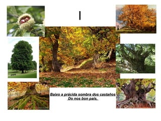 I
Baixo a prácida sombra dos castañosBaixo a prácida sombra dos castaños
Do nos bon país,Do nos bon país,
 