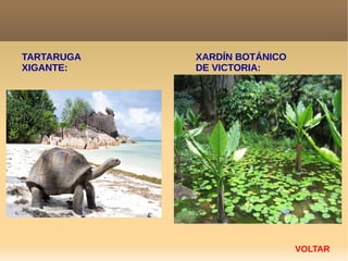 VOLTAR
TARTARUGA
XIGANTE:
XARDÍN BOTÁNICO
DE VICTORIA:
 