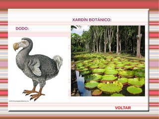 DODO:
XARDÍN BOTÁNICO:
VOLTAR
 