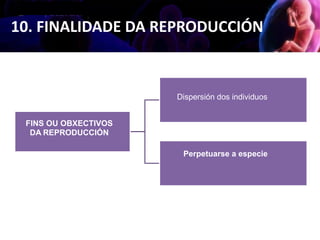 10. FINALIDADE DA REPRODUCCIÓN
FINS OU OBXECTIVOS
DA REPRODUCCIÓN
Perpetuarse a especie
Dispersión dos individuos
 