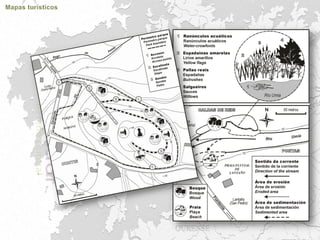 Trabajos cartografía