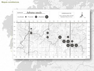Trabajos cartografía