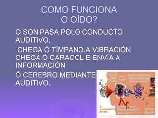 COMO FUNCIONA   O OÍDO? O SON PASA POLO CONDUCTO AUDITIVO, CHEGA Ó TÍMPANO.A VIBRACIÓN CHEGA Ó CARACOL E ENVÍA A INFORMACIÓN  Ó CEREBRO MEDIANTE O NERVIO AUDITIVO. 