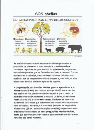 Traballo sobre as abellas.jesús e ángeles