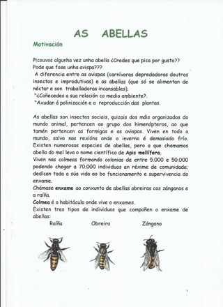 Traballo sobre as abellas.jesús e ángeles