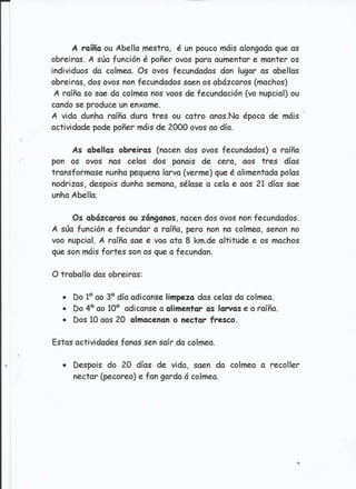 Traballo sobre as abellas.jesús e ángeles