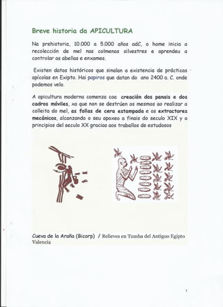 Traballo sobre as abellas.jesús e ángeles