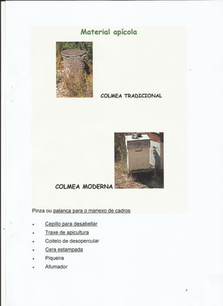 Traballo sobre as abellas.jesús e ángeles