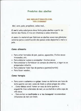 Traballo sobre as abellas.jesús e ángeles