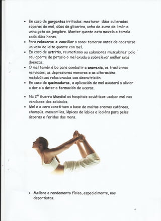 Traballo sobre as abellas.jesús e ángeles