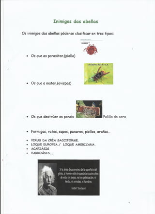 Traballo sobre as abellas.jesús e ángeles