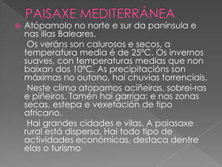 

Atópamolo no norte e sur da panínsula e
nas illas Baleares.
Os veráns son calurosos e secos, a
temperatura media é de 25ºC. Os invernos
suaves, con temperaturas medias que non
baixan dos 10ºC. As precipitacións son
máximas no outono, hai chuvias torrenciais.
Neste clima atopamos aciñeiras, sobrei-ras
e piñeiros. Tamén hai garriga; e nas zonas
secas, estepa e vexetación de tipo
africano.
Hai grandes cidades e vilas. A paiasaxe
rural está dispersa. Hai todo tipo de
actividades económicas, destaca dentre
elas o turismo

 