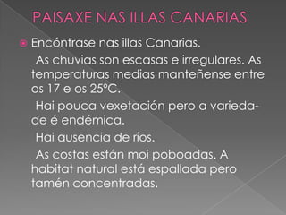 

Encóntrase nas illas Canarias.
As chuvias son escasas e irregulares. As
temperaturas medias manteñense entre
os 17 e os 25ºC.
Hai pouca vexetación pero a variedade é endémica.
Hai ausencia de ríos.
As costas están moi poboadas. A
habitat natural está espallada pero
tamén concentradas.

 