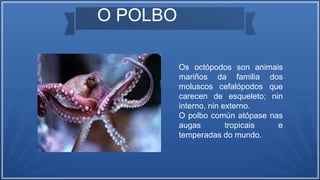 O POLBO
Os octópodos son animais
mariños da familia dos
moluscos cefalópodos que
carecen de esqueleto; nin
interno, nin externo.
O polbo común atópase nas
augas tropicais e
temperadas do mundo.
 