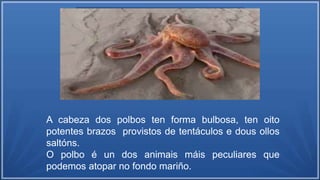 A cabeza dos polbos ten forma bulbosa, ten oito
potentes brazos provistos de tentáculos e dous ollos
saltóns.
O polbo é un dos animais máis peculiares que
podemos atopar no fondo mariño.
 