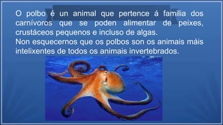 O polbo é un animal que pertence á familia dos
carnívoros que se poden alimentar de peixes,
crustáceos pequenos e incluso de algas.
Non esquecernos que os polbos son os animais máis
intelixentes de todos os animais invertebrados.
 