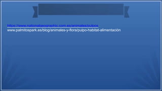 https://www.nationalgeographic.com.es/animales/pulpos
www.palmitospark.es/blog/animales-y-flora/pulpo-habitat-alimentación
 