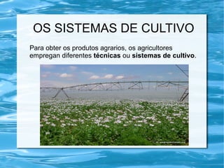 OS SISTEMAS DE CULTIVO
Para obter os produtos agrarios, os agricultores
empregan diferentes técnicas ou sistemas de cultivo.
 