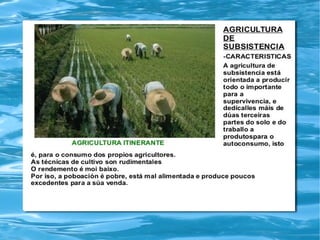 Traballo sociais tema 8