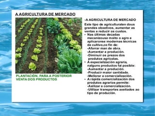 Traballo sociais tema 8