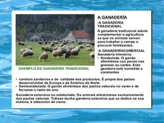 Traballo sociais tema 8