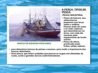 Traballo sociais tema 8