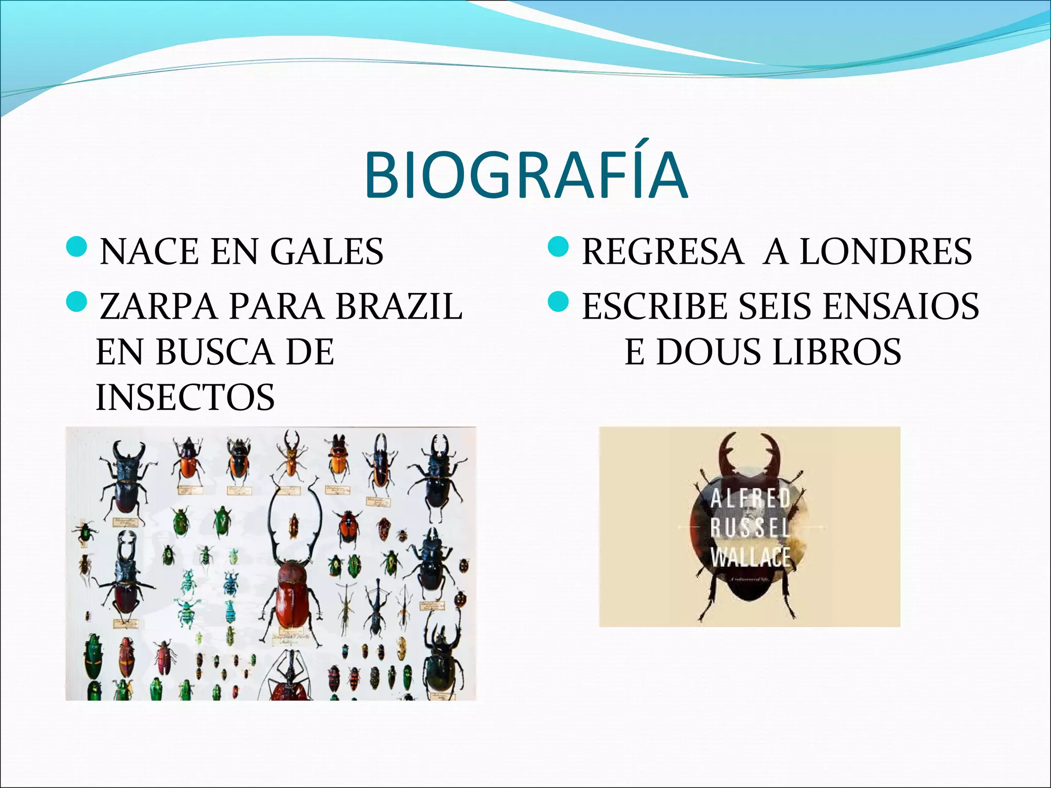 BIOGRAFÍA
NACE EN GALES
ZARPA PARA BRAZIL
EN BUSCA DE
INSECTOS
REGRESA A LONDRES
ESCRIBE SEIS ENSAIOS
E DOUS LIBROS
 