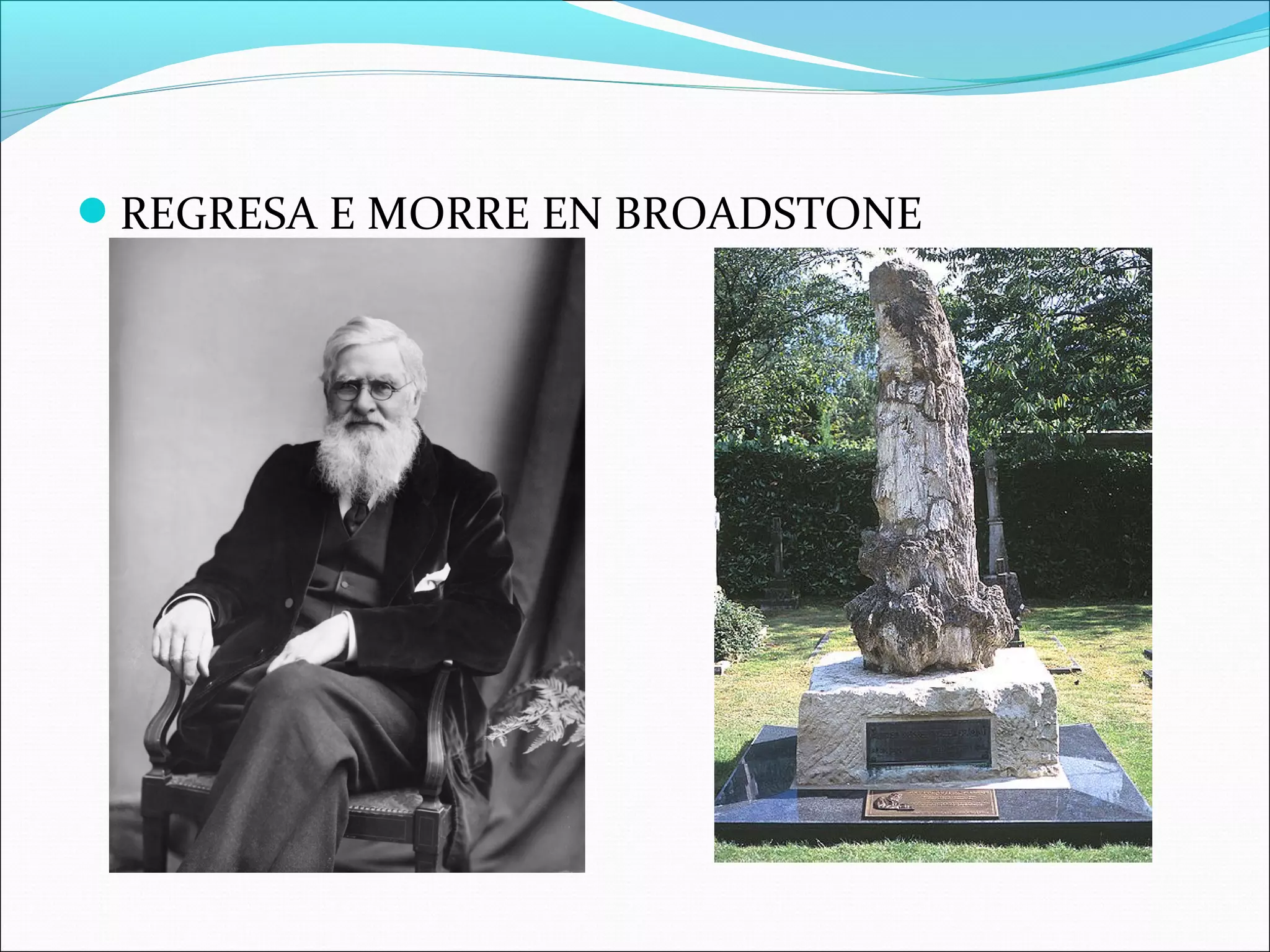REGRESA E MORRE EN BROADSTONE
 