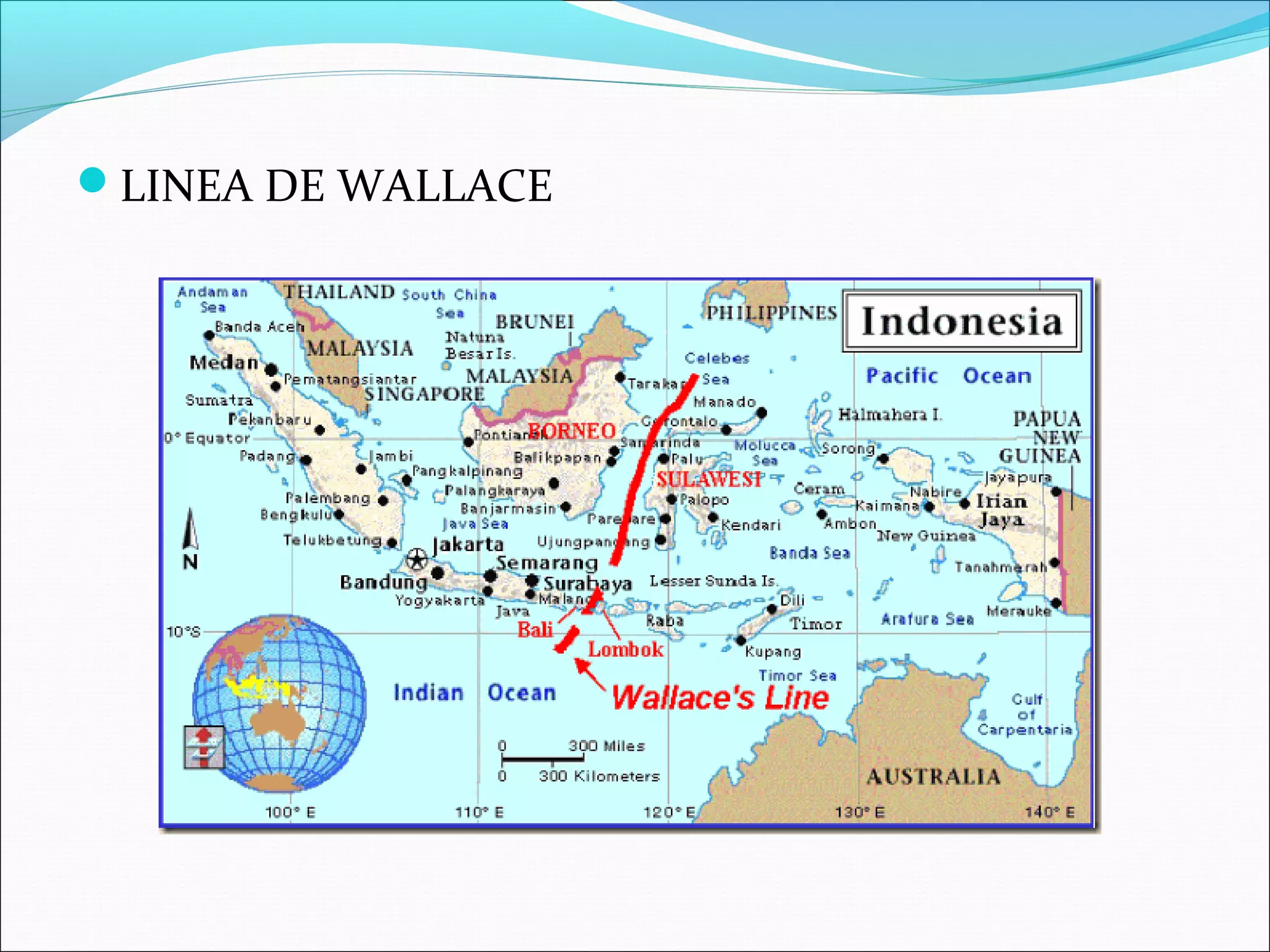 LINEA DE WALLACE
 