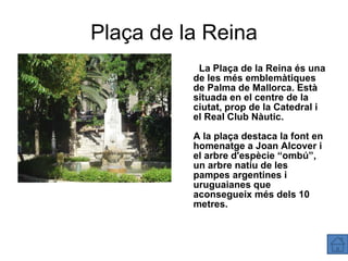 Plaça de la Reina La Plaça de la Reina és una de les més emblemàtiques de Palma de Mallorca. Està situada en el centre de la ciutat, prop de la Catedral i el Real Club Nàutic. A la plaça destaca la font en homenatge a Joan Alcover i el arbre d'espècie “ombú”, un arbre natiu de les pampes argentines i uruguaianes que aconsegueix més dels 10 metres. 