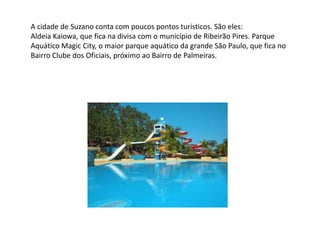 A cidade de Suzano conta com poucos pontos turísticos. São eles:
Aldeia Kaiowa, que fica na divisa com o município de Ribeirão Pires. Parque
Aquático Magic City, o maior parque aquático da grande São Paulo, que fica no
Bairro Clube dos Oficiais, próximo ao Bairro de Palmeiras.

 