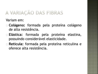 Variam em: 
Colágeno: formada pela proteína colágeno 
de alta resistência. 
Elástica: formada pela proteína elastina, 
possuindo considerável elasticidade. 
Reticula: formada pela proteína reticulina e 
oferece alta resistência. 
 
