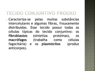 Caracteriza-se pelas muitas substâncias 
intercelulares e algumas fibras, frouxamente 
distribuídas. Esse tecido possui todas as 
células típicas do tecido conjuntivo: os 
fibroblastos (sintetiza proteínas), os 
macrófagos (trabalha como células 
fagocitária) e os plasmócitos (produz 
anticorpos). 
 