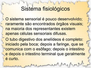 Sistema fisiológicos
O sistema sensorial é pouco desenvolvido;
raramente são encontrados órgãos visuais;
na maioria dos representantes existem
apenas células sensoriais difusas.
O tubo digestivo dos anelídeos é completo:
iniciado pela boca; depois a faringe, que se
comunica com o esôfago; depois o intestino
e depois o intestino terminal que geralmente
é curto.
 