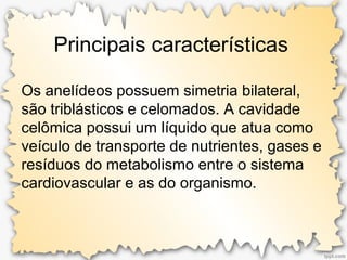 Principais características
Os anelídeos possuem simetria bilateral,
são triblásticos e celomados. A cavidade
celômica possui um líquido que atua como
veículo de transporte de nutrientes, gases e
resíduos do metabolismo entre o sistema
cardiovascular e as do organismo.
 