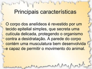 Principais características
O corpo dos anelídeos é revestido por um
tecido epitelial simples, que secreta uma
cutícula delicada, protegendo o organismo
contra a desidratação. A parede do corpo
contém uma musculatura bem desenvolvida
e capaz de permitir o movimento do animal.
 