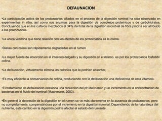 DEFAUNACION
•La participación activa de los protozoarios ciliados en el proceso de la digestión ruminal ha sido observada en
experimentos in vitro, así como sus enzimas para la digestión de complejos proteínicos y de carbohidratos.
Concluyendo que en los cultivos mezclados el 34% del total de la digestión microbial de fibra prodría ser atribuido
a los protozoarios.
•La única vitamina que tiene relación con los efectos de los protozoarios es la colina.
•Dietas con colina son rápidamente degradadas en el rumen
•La mejor fuente de absorción en el intestino delgado y su digestión en el mismo, es por los protozoarios fosfatidil
colina.
•La defaunación, virtualmente elimina las colonias que la podrían absorber,
•Es muy eficiente la conservación de colina, produciendo con la defaunación una deficiencia de esta vitamina.
•El tratamiento de defaunacion ocasiona una reducción del pH del rumen y un incremento en la concentración de
bacterias en el fluido del ruminal (Machmuler, 2003).
•En general la depresión de la digestión en el rumen se ve más claramente en la ausencia de protozoarios, pero
no completamente, compensándose por el incremento en la digestión ruminal. Dependiendo de la naturaleza del
nutriente, este cambio en la digestión podría afectar el estado del rumiante.
 