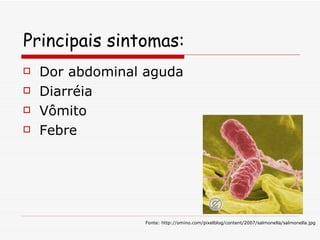 Principais sintomas: Dor abdominal aguda Diarréia  Vômito Febre  Fonte: http://omino.com/pixelblog/content/2007/salmonella/salmonella.jpg 