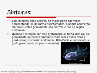 Sintomas: Esta infecção pode ocorrer, na maior parte das vezes, apresentando-se de forma assintomática. Quando apresenta sintomas, estes geralmente são diarréia e dor na região abdominal. Quando a infecção por este protozoário se torna crônica, ela geralmente apresenta sintomas como fezes amolecidas e gordurosas, distensão abdominal, flatulência e anorexia(que pode gerar perda de peso e anemia). Fonte: http://3.bp.blogspot.com/__kxhOYhfnP4/Sj9w7VJseaI/AAAAAAAABtA/xcpGGagIRy8/s400/3d_model_giardia_web1.jpg 