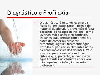 Diagnóstico e Profilaxia: O diagnóstico é feito via exame de fezes ou, em casos raros, biópsia de material duodenal. A prevenção é feita adotando-se hábitos de higiene, como lavar as mãos após ir ao banheiro, trocar fraldas, brincar com animais e antes de comer ou preparar alimentos; ingerir unicamente água tratada; higienizar os alimentos antes do consumo e cura dos doentes. Vale lembrar que o cloro não mata os cistos e que, portanto, alimentos ou água tratados unicamente com cloro não impedem a infecção por este protozoário. 