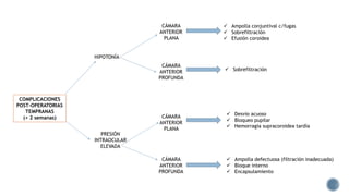 COMPLICACIONES
POST-OPERATORIAS
TEMPRANAS
(< 2 semanas)
HIPOTONÍA
PRESIÓN
INTRAOCULAR
ELEVADA
CÁMARA
ANTERIOR
PLANA
CÁMARA
ANTERIOR
PROFUNDA
CÁMARA
ANTERIOR
PLANA
CÁMARA
ANTERIOR
PROFUNDA
 Ampolla conjuntival c/fugas
 Sobrefiltración
 Efusión coroidea
 Sobrefiltración
 Desvío acuoso
 Bloqueo pupilar
 Hemorragia supracoroidea tardía
 Ampolla defectuosa (filtración inadecuada)
 Bloque interno
 Encapsulamiento
 