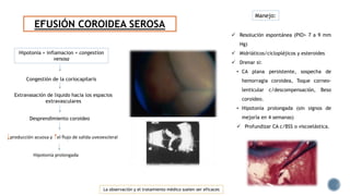 EFUSIÓN COROIDEA SEROSA
Congestión de la coriocapilaris
Hipotonia + inflamacion + congestion
venosa
Extravasación de liquido hacia los espacios
extravasculares
Desprendimiento coroideo
producción acuosa y el flujo de salida uveoescleral
Hipotonía prolongada
 Resolución espontánea (PIO> 7 a 9 mm
Hg)
 Midriáticos/ciclopléjicos y esteroides
 Drenar si:
• CA plana persistente, sospecha de
hemorragia coroidea, Toque corneo-
lenticular c/descompensación, Beso
coroideo.
• Hipotonía prolongada (sin signos de
mejoría en 4 semanas)
 Profundizar CA c/BSS o viscoelástica.
Manejo:
La observación y el tratamiento médico suelen ser eficaces
 