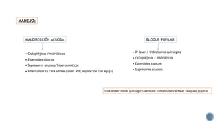 Una iridectomía quirúrgico de buen tamaño descarta el bloqueo pupilar
MANEJO:
• Ciclopléjicos /midriáticos
• Esteroides tópicos
• Supresores acuosos/hiperosmóticos
• Interrumpir la cara vítrea (láser, VPP, aspiración con aguja)
MALDIRECCIÓN ACUOSA
• IP laser / iridectomía quirúrgica
• ciclopléjicos / midriáticos
• Esteroides tópicos
• Supresores acuosos
BLOQUE PUPILAR
 