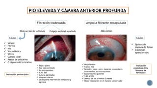 PIO ELEVADA Y CÁMARA ANTERIOR PROFUNDA
Filtración inadecuada
 Bajo a plano
 Muy vascularizado
 Sin microquistes
 6,9 a 36%
 Suturas apretadas
 bloqueo interno
 Se requiere intervención temprana y
agresiva
Colgajo escleral apretadoObstrucción de la fístula
Ampolla filtrante encapsulada
 Quistes de
cápsula de Tenon
 Cicatrices
epiesclerales
 Muy elevado
 Cúpula lisa
 Grandes vasos pero espacios avasculares
intermedios, sin microquistes
 Esclerostomía patente
 3.6% a 28%
 Dentro de los primeros 2 meses
 Mayor resolución en el manejo conservador
Causas Causas
Más común
Evaluación
cuidadosa de la
lámpara de
hendidura
Evaluación gonioscópica
 Sangre
 Fibrina
 Iris
 Viscoelástico
 Vítreo
 Cuerpo ciliar
 Restos de cristalino
 O cápsula del cristalino
 