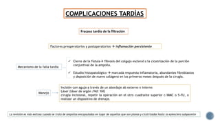 COMPLICACIONES TARDÍAS
Fracaso tardío de la filtración
Factores preoperatorios y postoperatorios  Inflamación persistente
 Cierre de la fístula fibrosis del colgajo escleral o la cicatrización de la porción
conjuntival de la ampolla.
 Estudio histopatológico  marcada respuesta inflamatoria, abundantes fibroblastos
y deposición de nuevo colágeno en los primeros meses después de la cirugía.
Mecanismo de la falla tardía
Incisión con aguja a través de un abordaje ab externo o interno
Láser (láser de argón /Nd: YAG
cirugía incisional, repetir la operación en el otro cuadrante superior c/MMC o 5-FU, o
realizar un dispositivo de drenaje.
Manejo
La revisión es más exitosa cuando se trata de ampollas encapsuladas en lugar de aquellas que son planas y cicatrizadas hasta la epiesclera subyacente
 