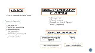 CATARATAS
 1/3 de los ojos después de la cirugía filtrante
 Edad del paciente
 Duración de la terapia miótica
 Manipulación quirúrgica
 Iritis postoperatoria
 Cámara anterior plana prolongada
 Cambios nutricionales
Factores predisponentes
HIPOTONÍA Y DESPRENDIENTO
CILIOCOROIDAL
 crónicos y recurrentes
 inflamación persistente
 Realconado con el uso de Supresores
acuosos y prostaglandinas
CAMBIOS EN LOS PÁRPADO
Retraccion del párpado
superior
Ptosis
Trauma quirúrgico del músculo
elevador y tejido adyacente.Efecto adrenérgico del humor
acuoso en el músculo de Müller
 
