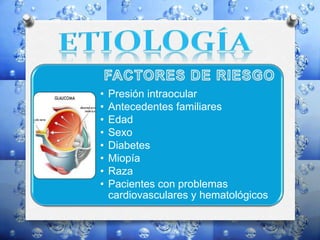 • Presión intraocular
• Antecedentes familiares
• Edad
• Sexo
• Diabetes
• Miopía
• Raza
• Pacientes con problemas
cardiovasculares y hematológicos
 